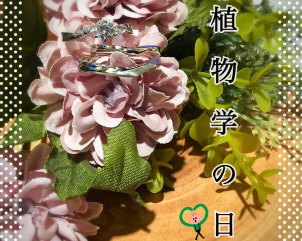 植物学の日🌱