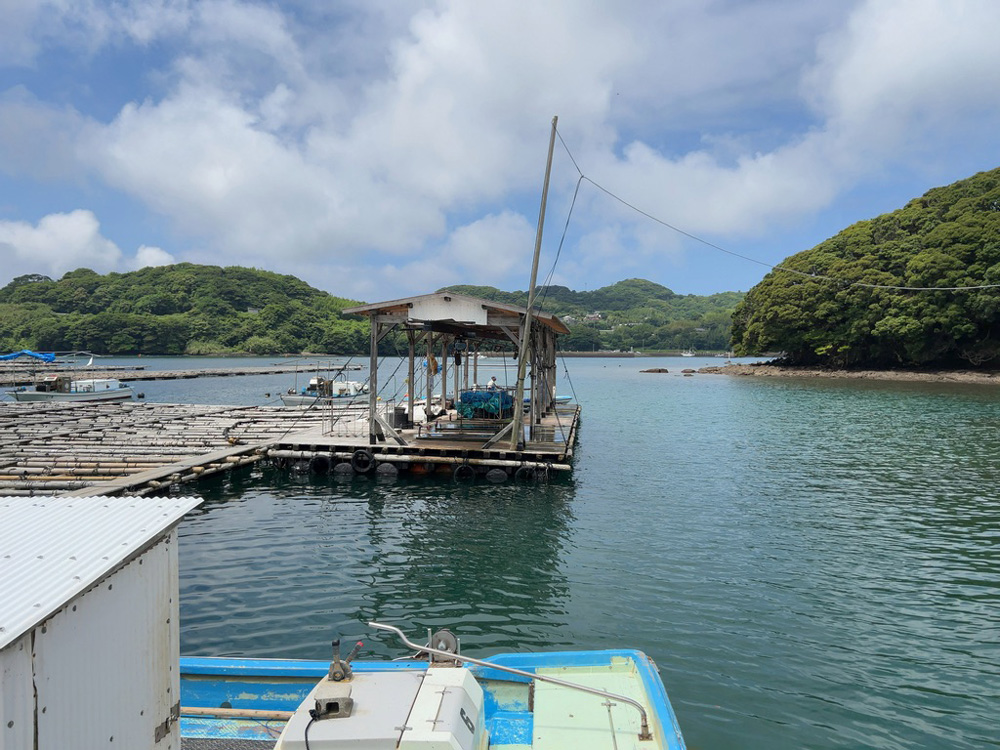 純国産真珠の養殖場